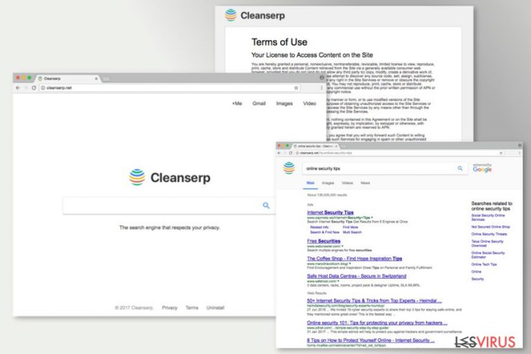 Abbildung Cleanserp.net