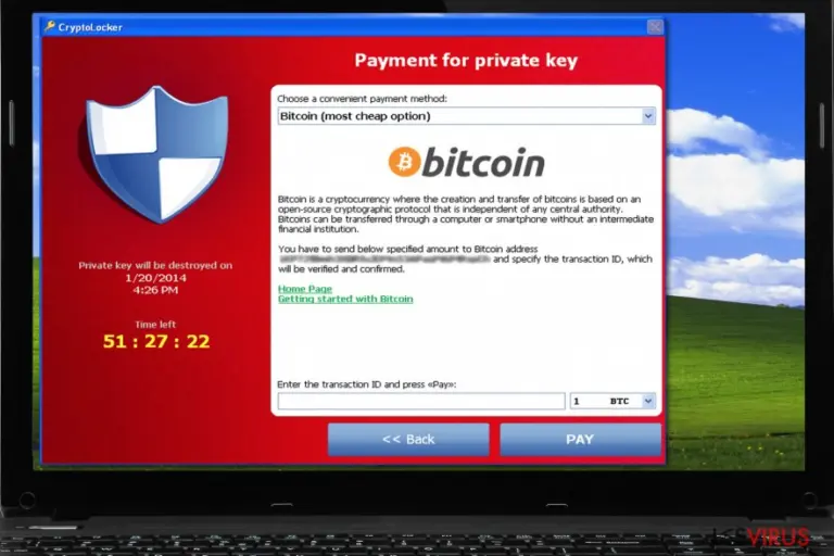 CryptoLocker