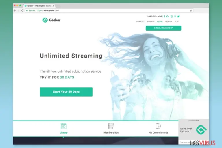 Screenshot of Geeker.com website