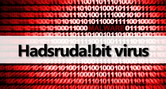 Information about Hadsruda!bit malware