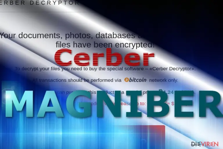 The image reflecting Magniber payment site