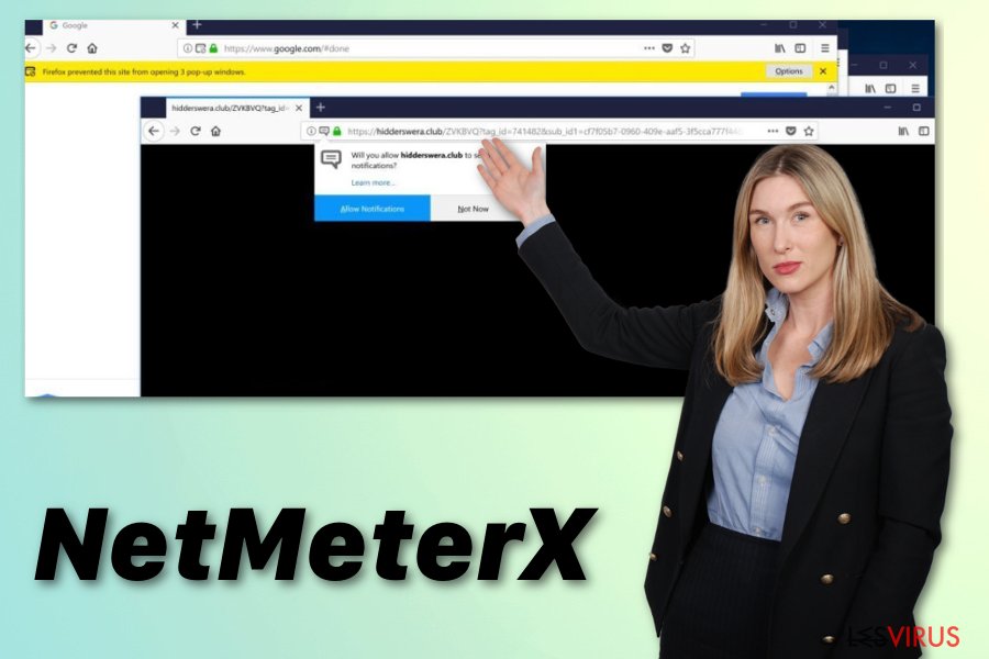 NetMeterX-Weiterleitung