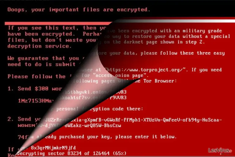 Abbildung NotPetya-Virus