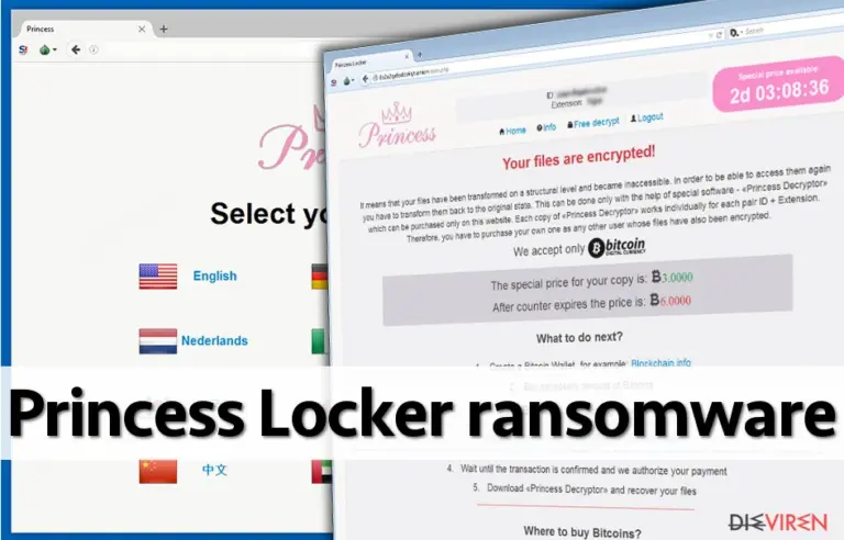 Image showing Princess Locker payment site
