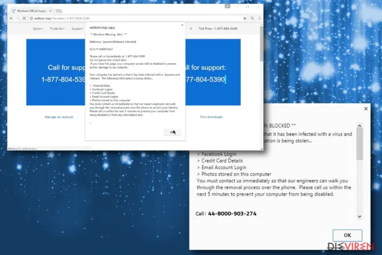 Image of Windows Warning Alert scam